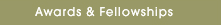 Awards and Fellowships